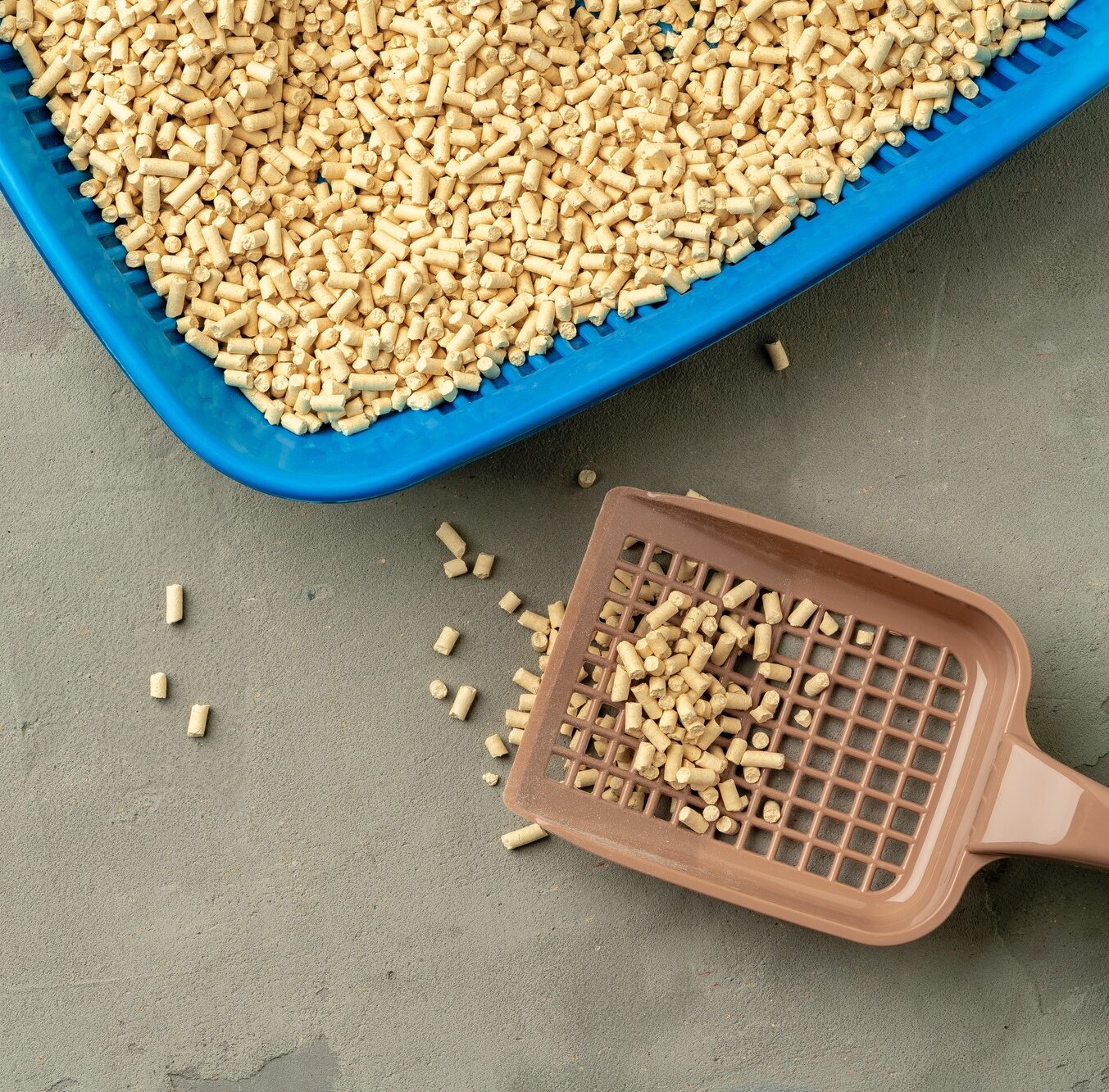Pet litter tray with wooden filler on gray background